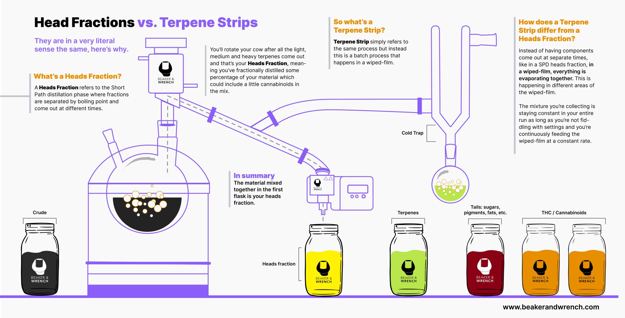 An info-graphic describing the differences and similarities between Terpene Strips and heads Fractions. 